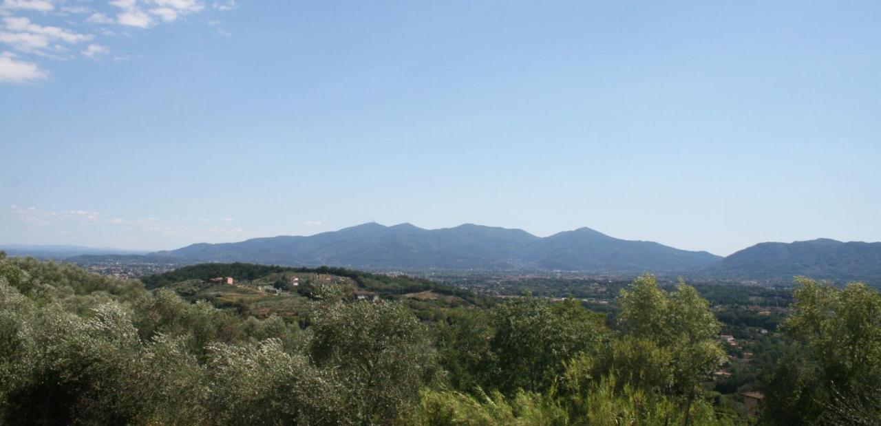 Vila Poderi Lenzi Lucca Exteriér fotografie